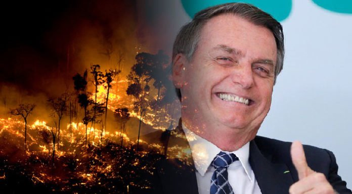 Φωτιές στον Αμαζόνιο : Ποιοί ευθύνονται, οι επιδράσεις στον πλανήτη και τα τελευταία νέα